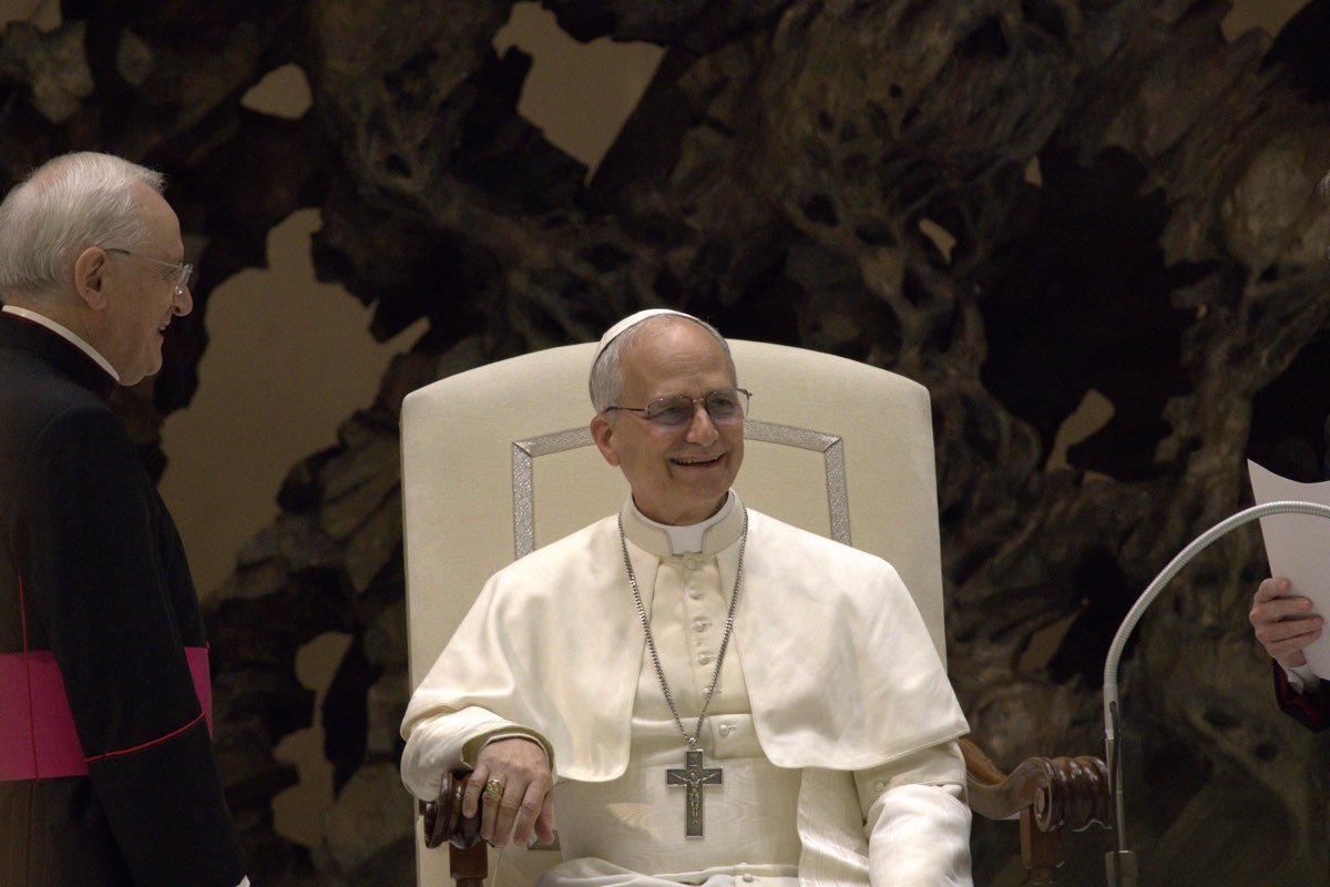 Le pape Léon XIV, élu en mai 2025, lors d'une audience au Vatican
